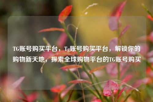 TG账号购买平台，Tg账号购买平台，解锁你的购物新天地，探索全球购物平台的TG账号购买