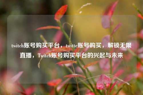 twitch账号购买平台，twitte账号购买，解锁无限直播，Twitch账号购买平台的兴起与未来