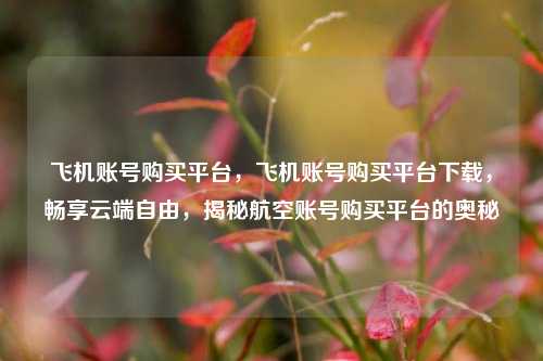 飞机账号购买平台，飞机账号购买平台下载，畅享云端自由，揭秘航空账号购买平台的奥秘
