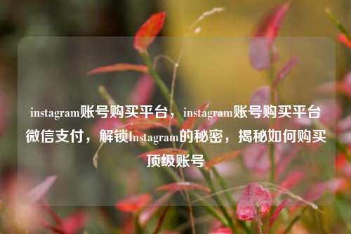 instagram账号购买平台，instagram账号购买平台微信支付，解锁Instagram的秘密，揭秘如何购买顶级账号