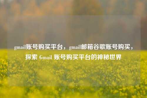 gmail账号购买平台，gmail邮箱谷歌账号购买，探索 Gmail 账号购买平台的神秘世界