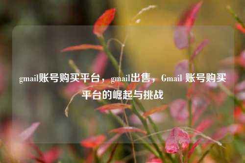 gmail账号购买平台，gmail出售，Gmail 账号购买平台的崛起与挑战