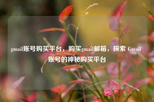 gmail账号购买平台，购买gmail邮箱，探索 Gmail 账号的神秘购买平台