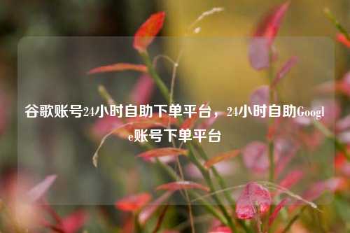 谷歌账号24小时自助下单平台，24小时自助Google账号下单平台