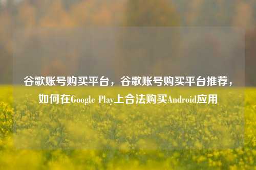 谷歌账号购买平台，谷歌账号购买平台推荐，如何在Google Play上合法购买Android应用