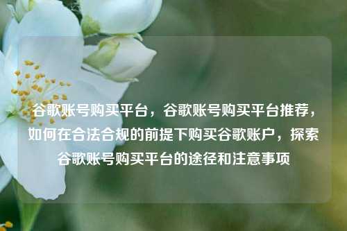 谷歌账号购买平台，谷歌账号购买平台推荐，如何在合法合规的前提下购买谷歌账户，探索谷歌账号购买平台的途径和注意事项