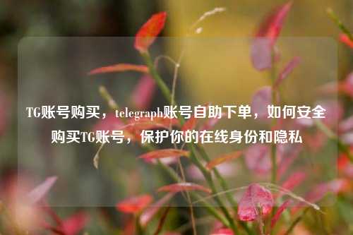 TG账号购买，telegraph账号自助下单，如何安全购买TG账号，保护你的在线身份和隐私
