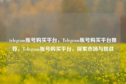 telegram账号购买平台，Telegram账号购买平台推荐，Telegram账号购买平台，探索市场与挑战