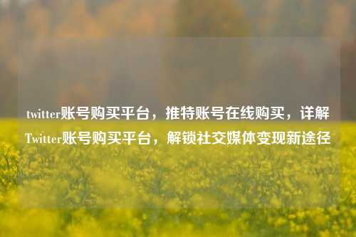 twitter账号购买平台，推特账号在线购买，详解Twitter账号购买平台	，解锁社交媒体变现新途径  第1张