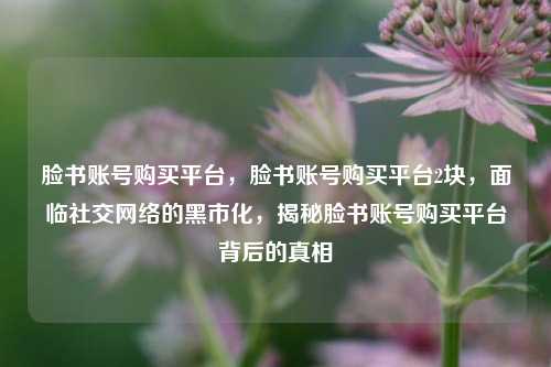 脸书账号购买平台，脸书账号购买平台2块，面临社交网络的黑市化，揭秘脸书账号购买平台背后的真相
