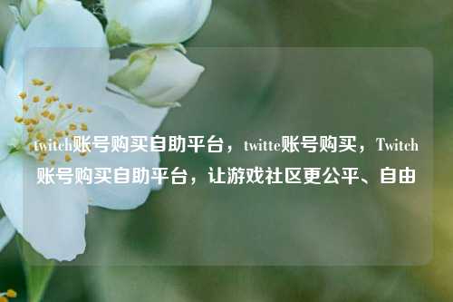 twitch账号购买自助平台，twitte账号购买，Twitch账号购买自助平台，让游戏社区更公平、自由