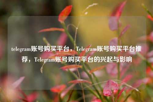 telegram账号购买平台，Telegram账号购买平台推荐，Telegram账号购买平台的兴起与影响