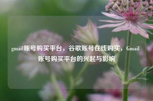 gmail账号购买平台，谷歌账号在线购买，Gmail 账号购买平台的兴起与影响