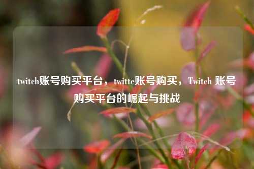 twitch账号购买平台，twitte账号购买，Twitch 账号购买平台的崛起与挑战