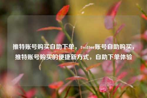 推特账号购买自助下单，twitter账号自助购买，推特账号购买的便捷新方式，自助下单体验