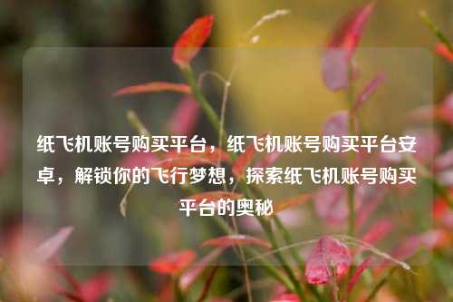 纸飞机账号购买平台，纸飞机账号购买平台安卓，解锁你的飞行梦想，探索纸飞机账号购买平台的奥秘