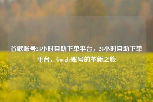 谷歌账号24小时自助下单平台，24小时自助下单平台，Google账号的革新之旅
