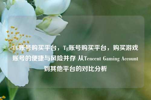 TG账号购买平台，Tg账号购买平台，购买游戏账号的便捷与风险并存 从Tencent Gaming Account到其他平台的对比分析