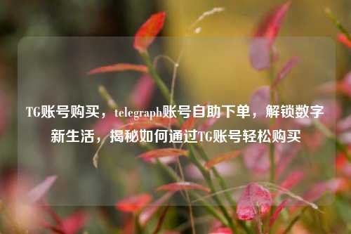 TG账号购买，telegraph账号自助下单，解锁数字新生活，揭秘如何通过TG账号轻松购买