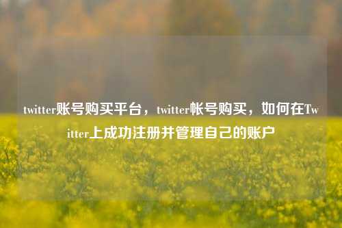 twitter账号购买平台，twitter帐号购买，如何在Twitter上成功注册并管理自己的账户