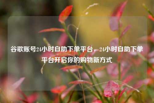 谷歌账号24小时自助下单平台，24小时自助下单平台开启你的购物新方式