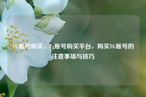 TG账号购买，Tg账号购买平台，购买TG账号的注意事项与技巧