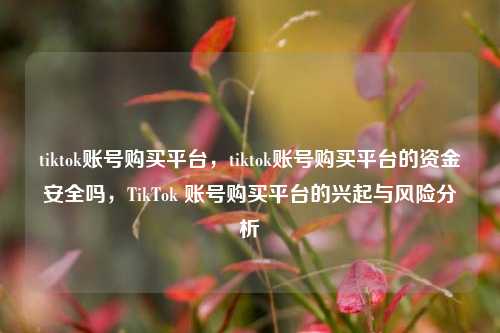 tiktok账号购买平台，tiktok账号购买平台的资金安全吗，TikTok 账号购买平台的兴起与风险分析