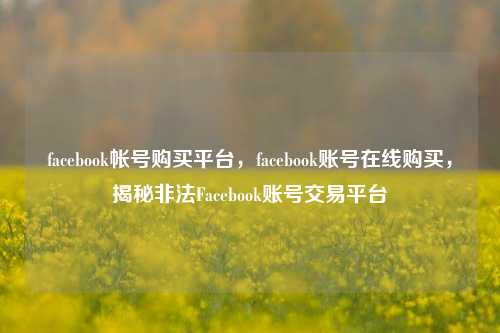 facebook帐号购买平台，facebook账号在线购买，揭秘非法Facebook账号交易平台