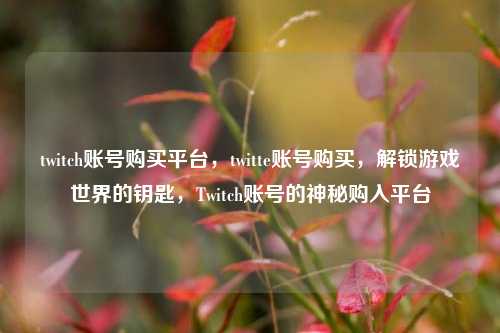 twitch账号购买平台	，twitte账号购买，解锁游戏世界的钥匙，Twitch账号的神秘购入平台  第1张