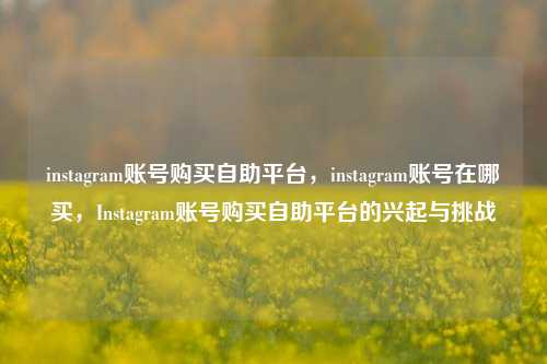 instagram账号购买自助平台，instagram账号在哪买，Instagram账号购买自助平台的兴起与挑战