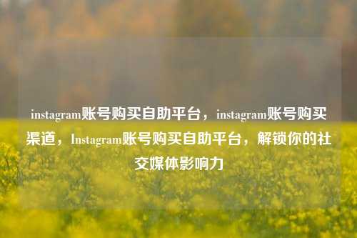 instagram账号购买自助平台，instagram账号购买渠道，Instagram账号购买自助平台，解锁你的社交媒体影响力