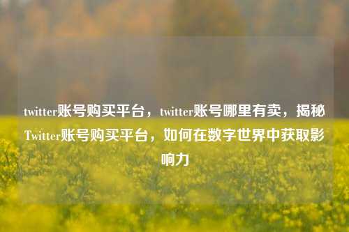 twitter账号购买平台，twitter账号哪里有卖，揭秘Twitter账号购买平台，如何在数字世界中获取影响力