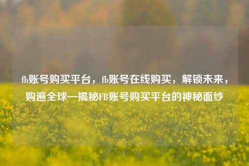 fb账号购买平台，fb账号在线购买，解锁未来，购遍全球—揭秘FB账号购买平台的神秘面纱