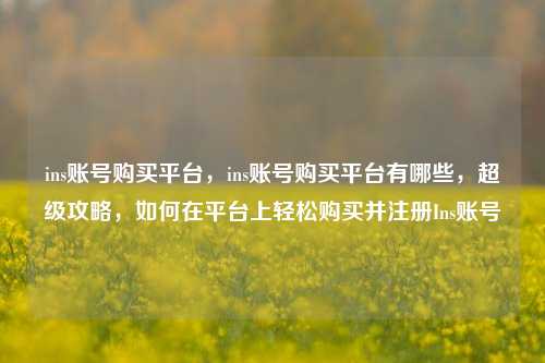 ins账号购买平台，ins账号购买平台有哪些，超级攻略，如何在平台上轻松购买并注册Ins账号