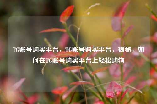 TG账号购买平台，TG账号购买平台，揭秘，如何在TG账号购买平台上轻松购物