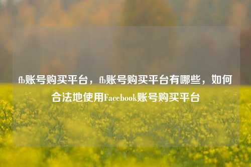fb账号购买平台，fb账号购买平台有哪些，如何合法地使用Facebook账号购买平台