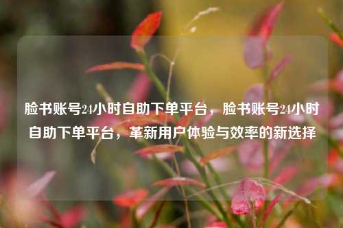 脸书账号24小时自助下单平台，脸书账号24小时自助下单平台，革新用户体验与效率的新选择