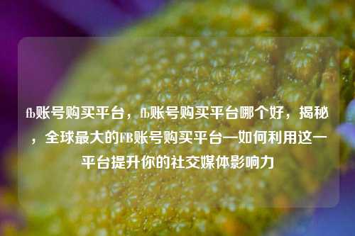 fb账号购买平台	，fb账号购买平台哪个好，揭秘，全球最大的FB账号购买平台—如何利用这一平台提升你的社交媒体影响力  第1张