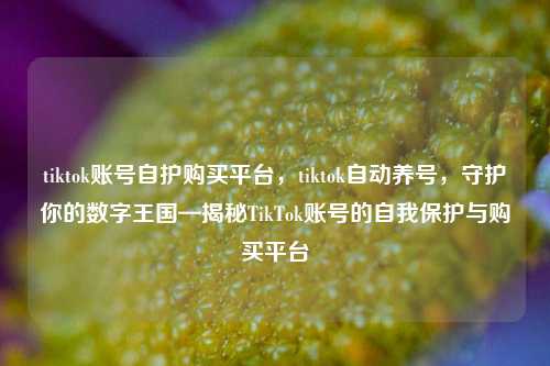 tiktok账号自护购买平台，tiktok自动养号，守护你的数字王国—揭秘TikTok账号的自我保护与购买平台