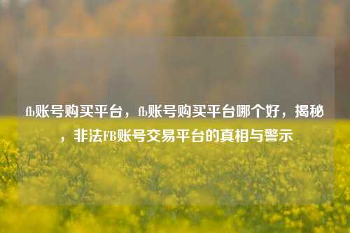 fb账号购买平台，fb账号购买平台哪个好，揭秘，非法FB账号交易平台的真相与警示