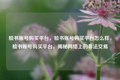 脸书账号购买平台，脸书账号购买平台怎么样，脸书账号购买平台，揭秘网络上的非法交易