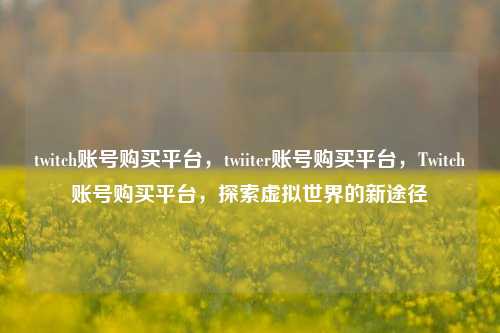 twitch账号购买平台，twiiter账号购买平台，Twitch账号购买平台，探索虚拟世界的新途径