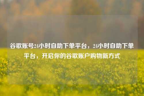 谷歌账号24小时自助下单平台，24小时自助下单平台，开启你的谷歌账户购物新方式