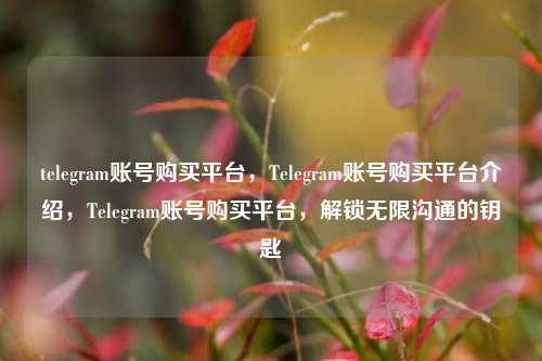 telegram账号购买平台，Telegram账号购买平台介绍	，Telegram账号购买平台，解锁无限沟通的钥匙  第1张