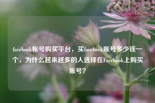 facebook帐号购买平台，买facebook账号多少钱一个，为什么越来越多的人选择在Facebook上购买账号？