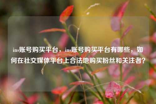 ins账号购买平台，ins账号购买平台有哪些，如何在社交媒体平台上合法地购买粉丝和关注者？