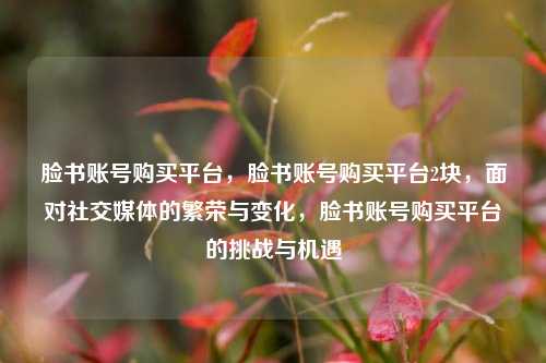 脸书账号购买平台，脸书账号购买平台2块，面对社交媒体的繁荣与变化，脸书账号购买平台的挑战与机遇