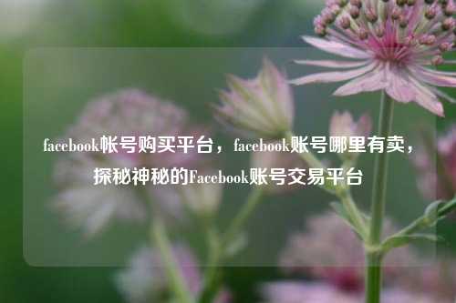 facebook帐号购买平台	，facebook账号哪里有卖，探秘神秘的Facebook账号交易平台  第1张