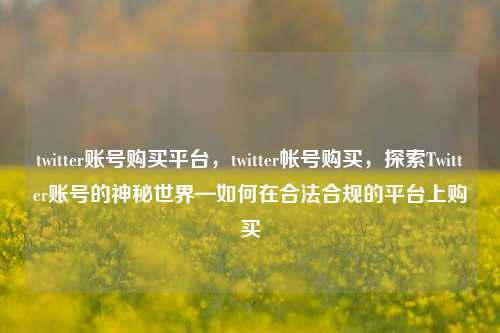 twitter账号购买平台，twitter帐号购买，探索Twitter账号的神秘世界—如何在合法合规的平台上购买