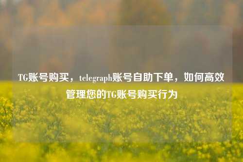 TG账号购买，telegraph账号自助下单，如何高效管理您的TG账号购买行为  第1张